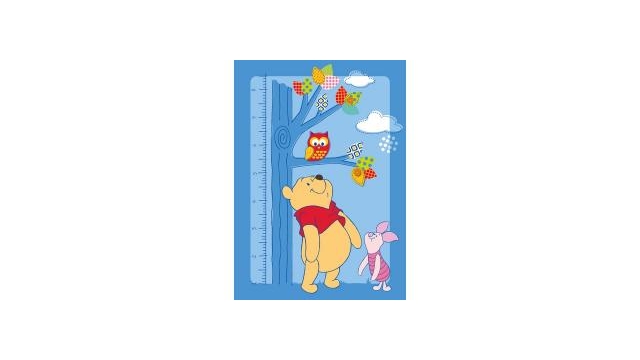 Winnie the Pooh Uil Speelkleed 95x133cm