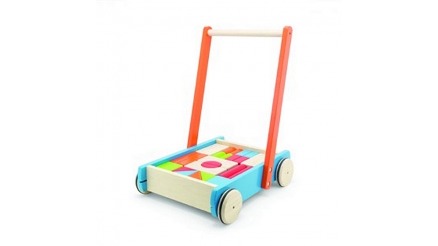 Pintoy Baby Walker Duwwagen met Blokken