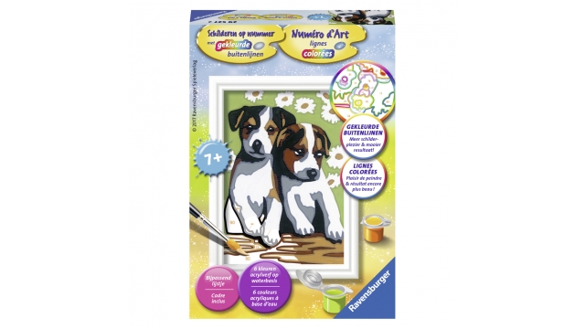 Ravensburger Schilder Op Nummer Schattige Puppies