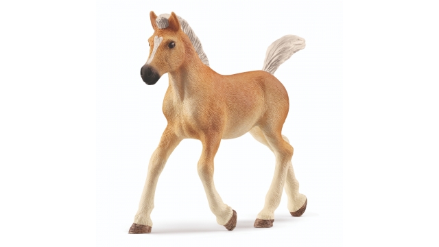 Schleich Haflinger Veulen