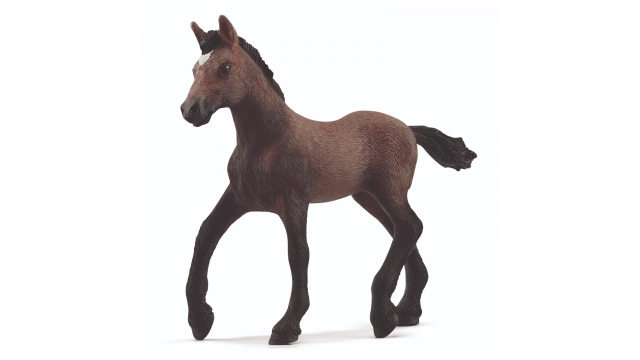 Schleich Paso Peruano Veulen