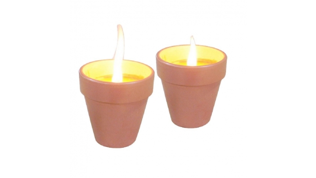 Citronellakaarsen in Terracotta Potje 6.5 cm 3 Stuks