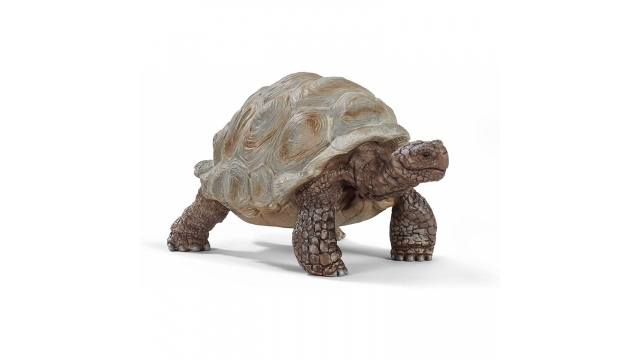 Schleich Reuzeschildpad