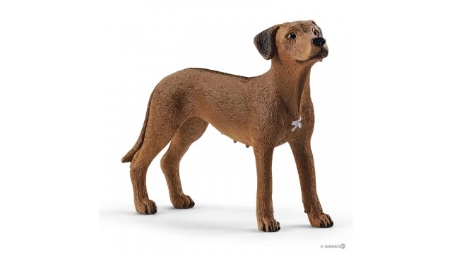 Schleich Ridgeback