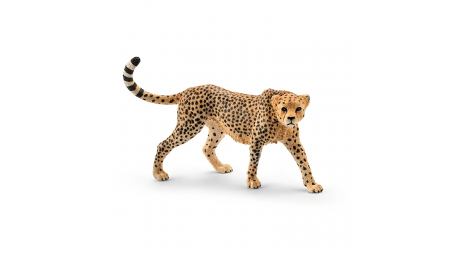 Schleich Cheetah Vrouwtje