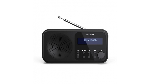 Sharp DR-P420 Radio Zwart